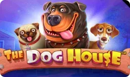 Dragonslots – The Dog House